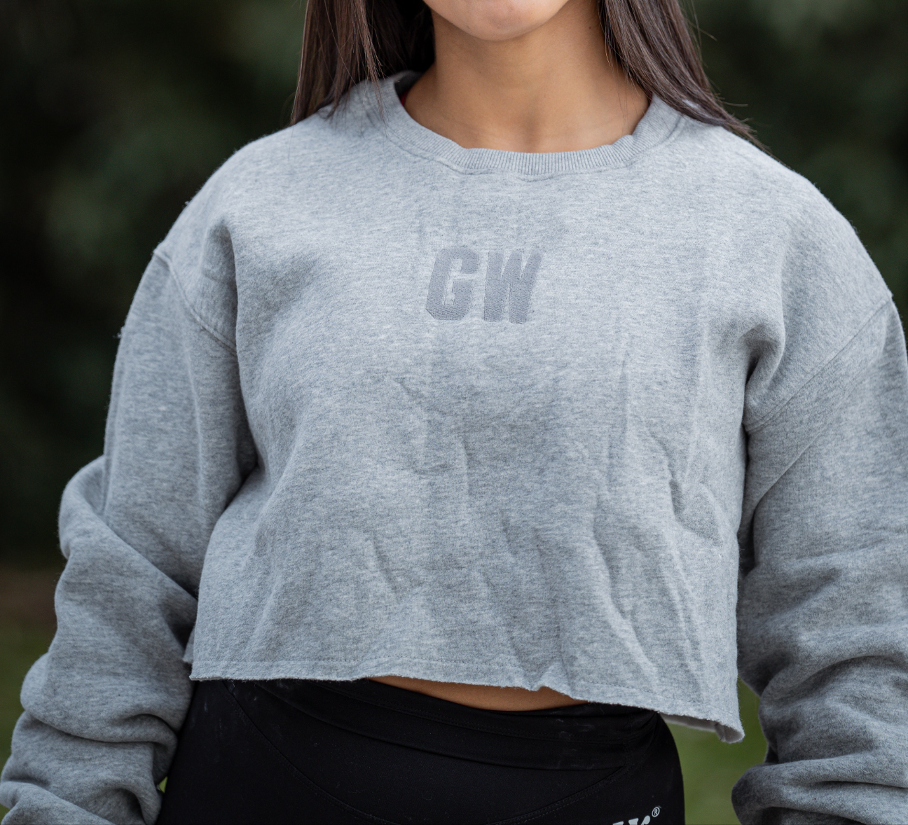 Hoddie Crop Soft Grey